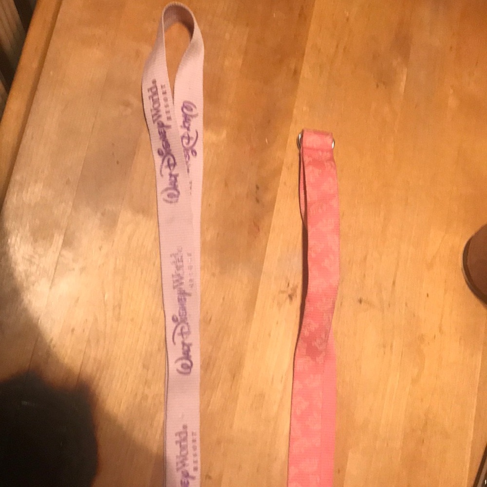 Disney lanyards